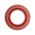 1760002060_D3830_Oriental Strawberry Red